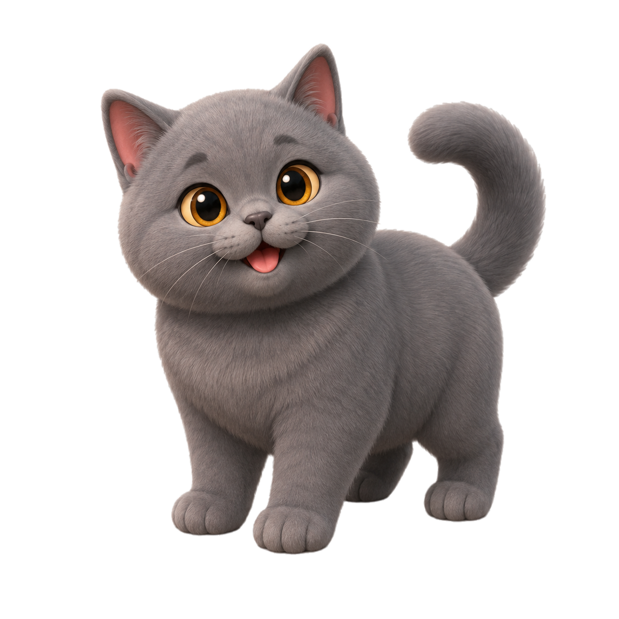 British Shorthair su Wefido