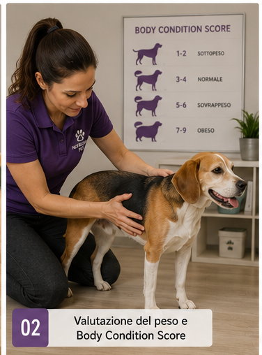 Valutazione della condizione corporea di un cane
